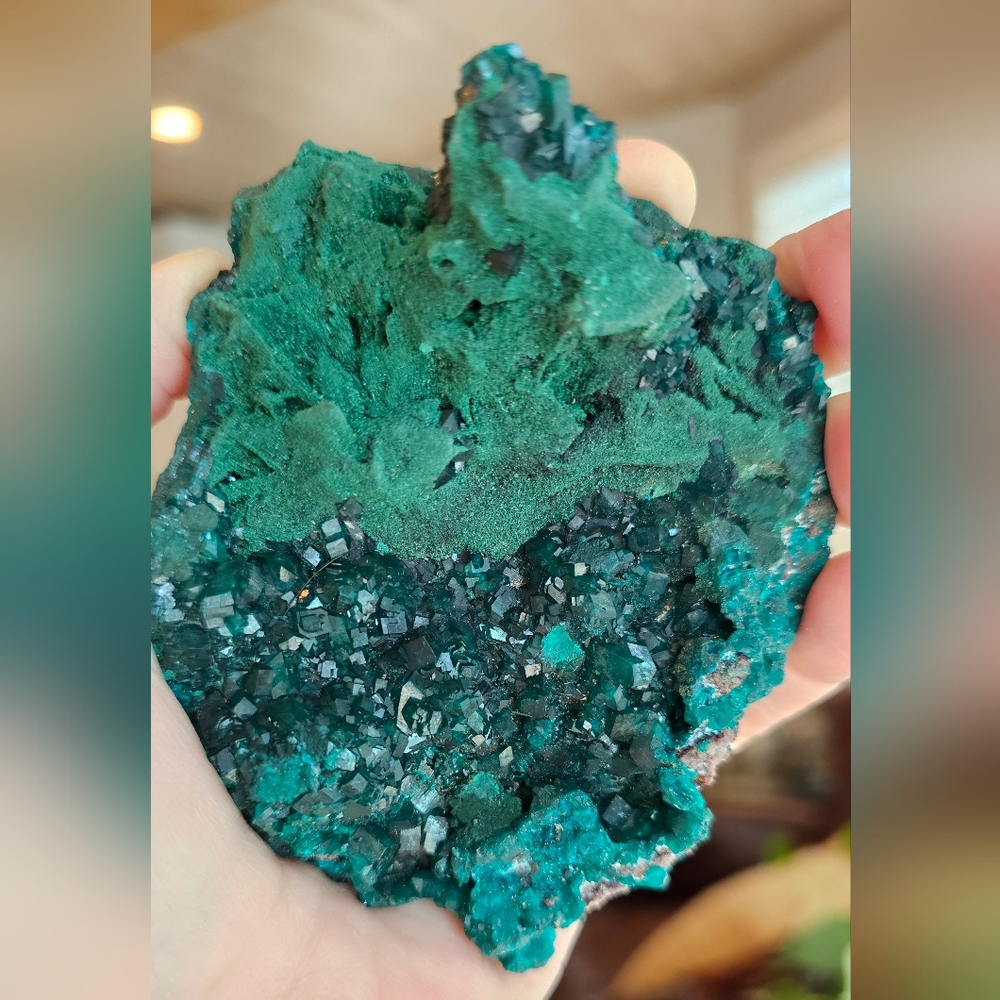 RARE Quality Large Dioptase W/ Malachite And A Bit Of Shattuckite! Stunning! - Picture 4 of 10